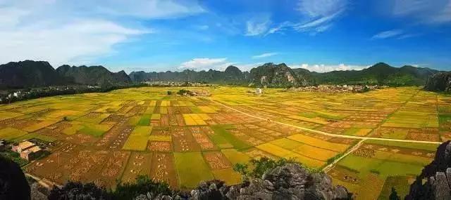 中國(guó)經(jīng)濟(jì)體制改革基金會(huì)全國(guó)第一！中國(guó)改革熱度第三方評(píng)估出爐，云浮宣傳系數(shù)在全國(guó)343個(gè)城市居首位                             